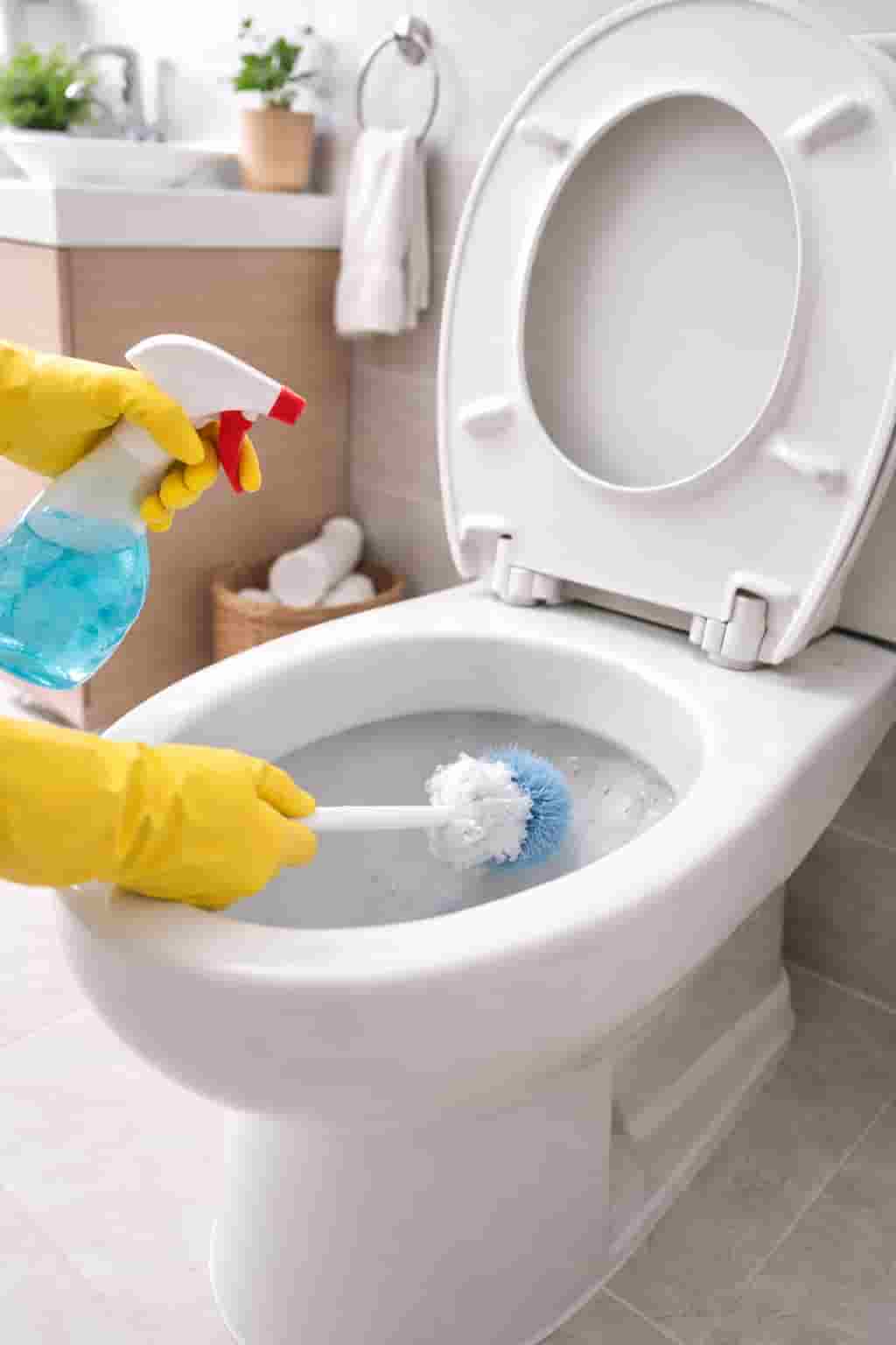 Cleaning toilet bowl with brush during move out bathroom cleaning service